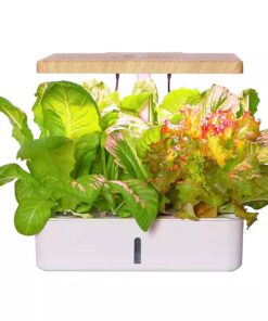 ROCILB Indoor Gardening System,Aeroponics Growing Kit,Indoor Garden Hydroponic Growing System,hydroponic Indoor Garden,with Hydrating Pump, Adapter, Net Pots, Timer.