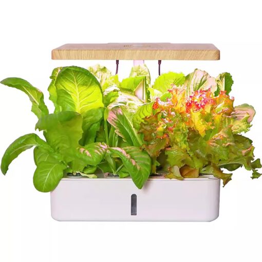 ROCILB Indoor Gardening System,Aeroponics Growing Kit,Indoor Garden Hydroponic Growing System,hydroponic Indoor Garden,with Hydrating Pump, Adapter, Net Pots, Timer.