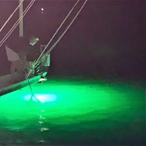 Green Blob Outdoors New Underwater Fishing Light for Docks with 30ft Cord, LED, Fish Attracting, Crappie, Snook 7500 Lumen 110V, Made in Texas - Image 2