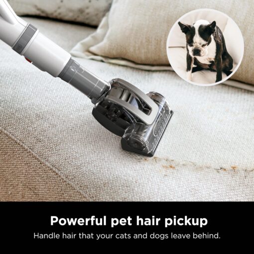 Shark Upright Vacuum, Navigator Lift-Away with Swivel Steering, HEPA Filter, XL Dust Cup, Pet Power, Dusting Brush, and Crevice Tool, Perfect for Pet Hair, White/Silver, NV356E - Image 4