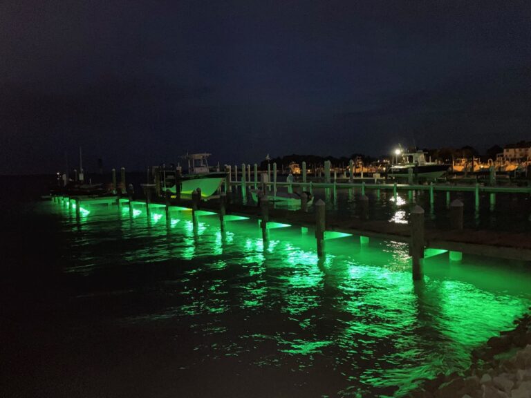 Green Blob Outdoors Pimp My Dock DIY Multi-Color Color Changing Premium LED Under Dock Lighting Kit IP68 Completely Waterproof - Image 4