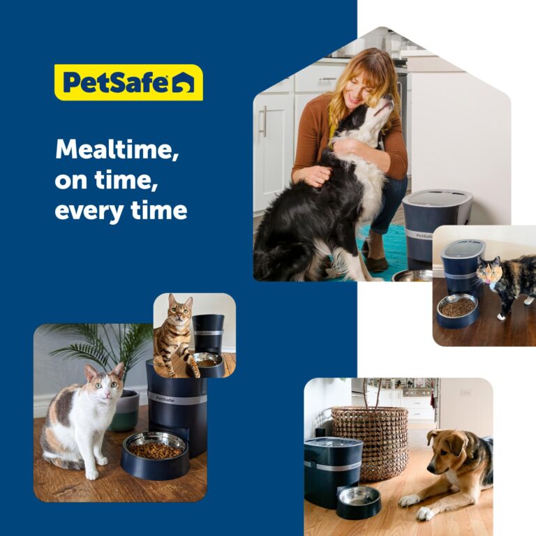 PetSafe Smart Feed Pet Feeder, Automatic Cat Feeder, Automatic Dog Feeder with App, Compatible with Alexa, Apple, Android, Backup Batteries for Power Outage, Black - Image 3