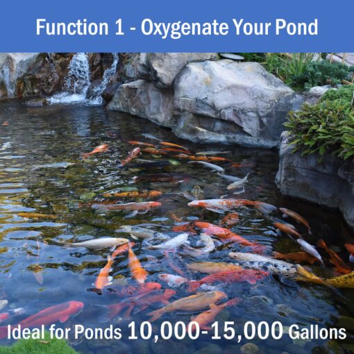 AquaMiracle All-in-One Koi Pond Aerator for Outdoor Ponds 10000-15000 Gallons, Pond Air Pump Pond Aeration System with Self-Sinking Airline Flow Control Rubber Air Diffuser - Image 4