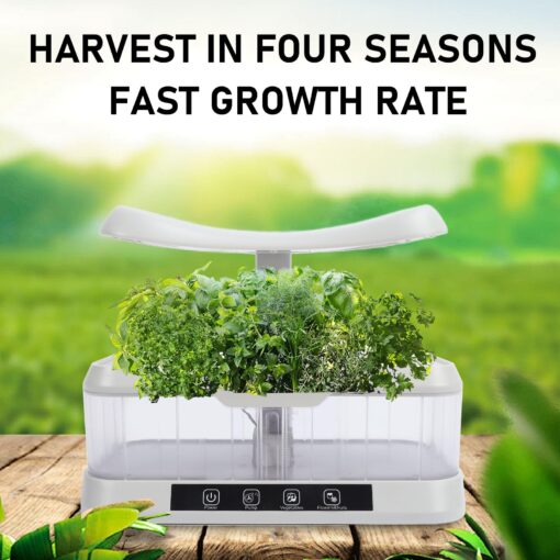 waenhasd Hydroponics Growing System, Hydroponics Growing System 12 Pods Indoor Gardening System with LED Grow Light Plants Germination Kit Ideal Gardening Gifts for Women /699, US Plug, Transparent - Image 6