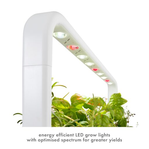 Click & Grow Indoor Herb Garden Kit with Grow Light | Easier Than Hydroponics Growing System | Smart Garden for Home Kitchen Windowsill | Vegetable & Herb Garden Starter Kit with 9 Plant pods, Gray - Image 4