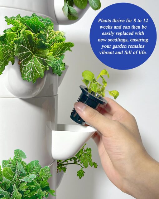 Sjzx Hydroponics Growing System Kit with Grow Lights |25-Plant Hydroponic Tower | Home Indoor Gardening Herbs, Fruits and Vegetables | Indoor Hydroponics Tower System Kit - Image 8