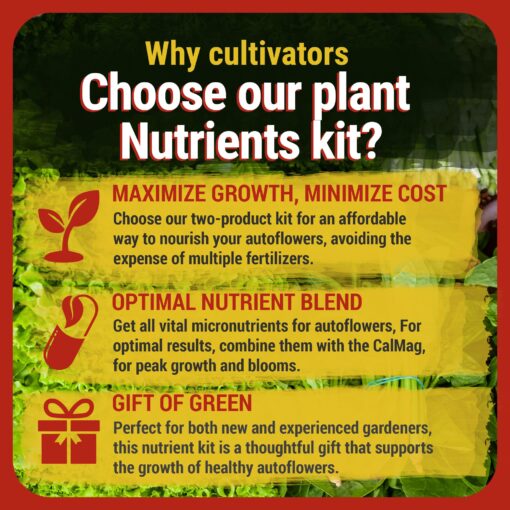Cronk Nutrients Bonnie & Clyde Autoflower Nutrients Bloom and Grow – Yield Increasing Autoflower Plants Nutrient Kit – Easy to Use Plant Food – Optimal Formula for Optimal Results, 4L - Image 7