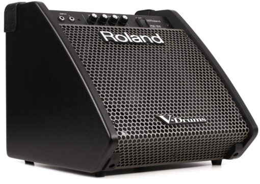 Roland PM-100 Compact Electronic V-Drum Set Monitor, 80-Watt,Black