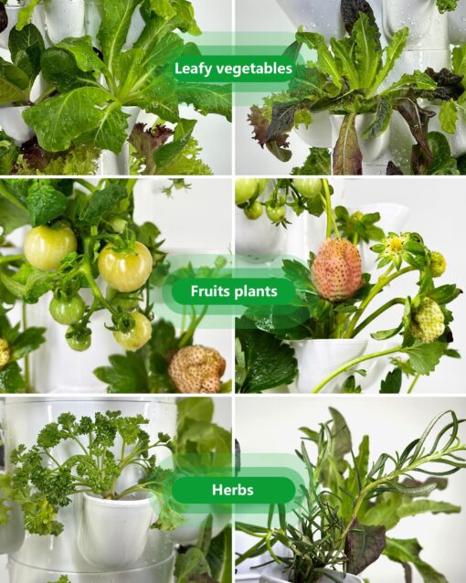 DPROOTS Hydroponic Tower Growing System，45 Pods Vertical Garden，Suitable for Indoor and Greenhouse, Grow Herbs and Vegetables，Houseplant Farming with Water Circulation and Automatic Timer - Image 7