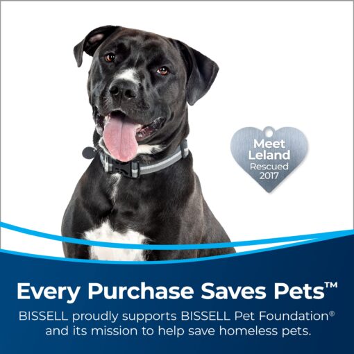 Bissell 2998 MultiClean Allergen Lift-Off Pet Vacuum with HEPA Filter Sealed System, Lift-Off Portable Pod, LED Headlights, Specialized Pet Tools, Easy Empty Dirt Tank - Image 7