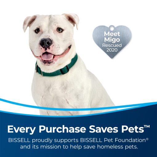 Bissell MultiClean Allergen Rewind Pet Vacuum with HEPA Filter Sealed System, Automatic Cord Rewind, Tangle-Free Brush Roll, & LED Headlights, 3402 - Image 7