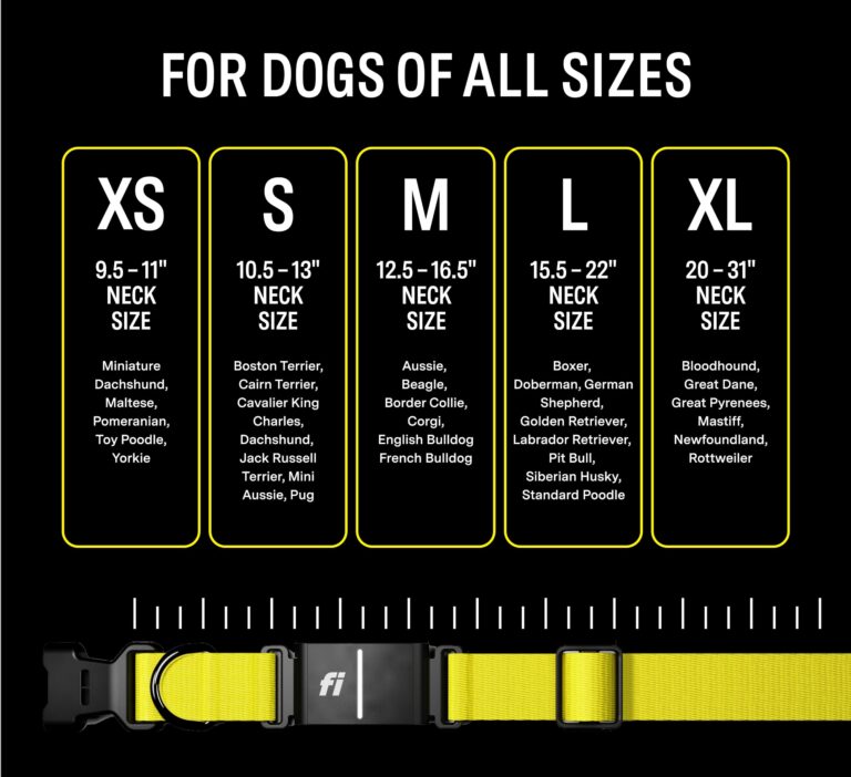 Fi Series 3 Smart Dog Collar - GPS Dog Tracker and Activity & Health Monitor, Waterproof, LED Light, Escape Alerts, Nationwide Coverage [Free 1 Year Membership] (Yellow, Large) - Image 4