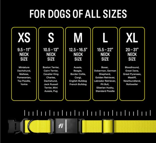 Fi Series 3 Smart Dog Collar - GPS Dog Tracker and Activity & Health Monitor, Waterproof, LED Light, Escape Alerts, Nationwide Coverage [Free 1 Year Membership] (Yellow, X Large) - Image 4
