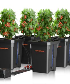 Spider Farmer DWC Hydroponics Grow System with 7-Gallon Deep Water Culture, New Triangular Cover Design, Recirculating Drip Garden System with Top Drip Kit, 15W Air Pump, 4 Buckets