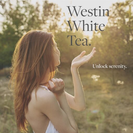 Westin White Tea Home Diffuser - Scent Machine with Refill Cartridge - Air fresheners for Home - Signature White Tea Scent - Image 7
