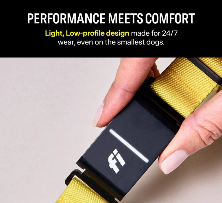 Fi Series 3 Smart Dog Collar - GPS Dog Tracker and Activity & Health Monitor, Waterproof, LED Light, Escape Alerts, Nationwide Coverage [Free 1 Year Membership] (Yellow, Large) - Image 3