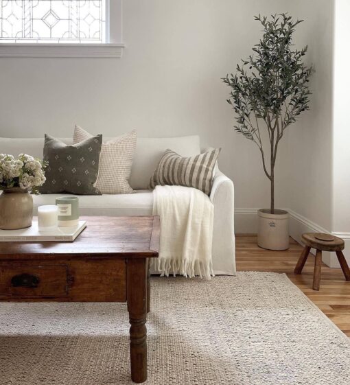 S & L Homes Jute Cotton Hand Woven Natural Farmhouse Area Rug for Living Room - Rustic Vintage Bohemian Décor - (8' x 10' Natural) - Image 2
