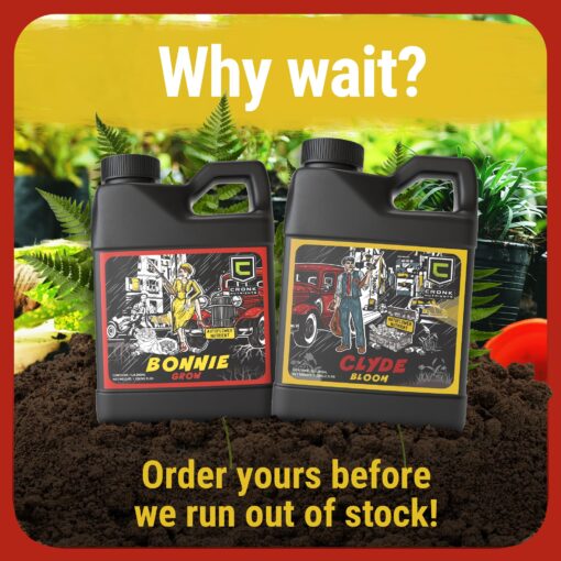 Cronk Nutrients Bonnie & Clyde Autoflower Nutrients Bloom and Grow – Yield Increasing Autoflower Plants Nutrient Kit – Easy to Use Plant Food – Optimal Formula for Optimal Results, 4L - Image 4