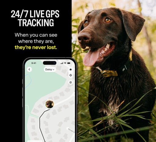 Fi Series 3 Smart Dog Collar - GPS Dog Tracker and Activity & Health Monitor, Waterproof, LED Light, Escape Alerts, Nationwide Coverage [Free 1 Year Membership] (Yellow, Medium) - Image 7