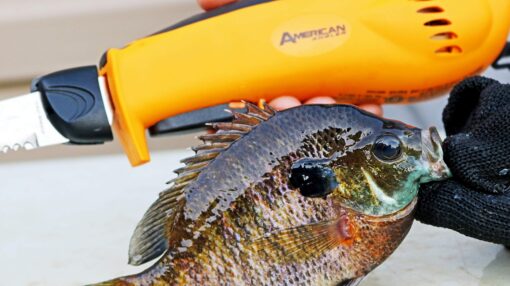 American Angler PRO Electric Fillet Knife Professional Grade Fisherman's Kit – Includes 5 Types of Stainless Steel Blades, Storage Pouch, and Protective Glove 32352DS - Image 7