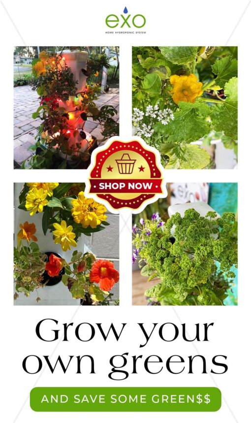 EXO Garden Hydroponic Growing System Vertical Tower - Vegetable Plant Tower Gift for Gardening Lover - Automate Aeroponics Mini Indoor Outdoor Home Grow Herb - Image 7