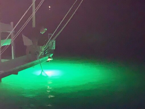 Green Blob Outdoors High Power 15000 Lumens New Fishing Underwater Light 12V with extra long 50ft Cord QD Alligator Clips & Cigarette Lighter Adapters included LED Fish Attractor, Made in Texas (50ft) - Image 2