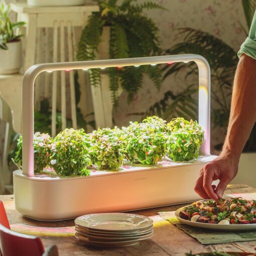 Click & Grow Indoor Herb Garden Kit with Grow Light | Easier Than Hydroponics Growing System | Smart Garden for Home Kitchen Windowsill | Vegetable & Herb Garden Starter Kit with 9 Plant pods, White - Image 3