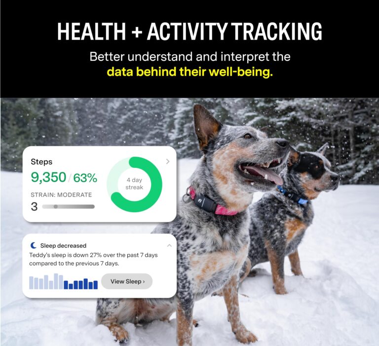 Fi Series 3 Smart Dog Collar - GPS Dog Tracker and Activity & Health Monitor, Waterproof, LED Light, Escape Alerts, Nationwide Coverage [Free 1 Year Membership] (Yellow, Large) - Image 5