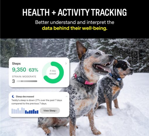 Fi Series 3 Smart Dog Collar - GPS Dog Tracker and Activity & Health Monitor, Waterproof, LED Light, Escape Alerts, Nationwide Coverage [Free 1 Year Membership] (Yellow, X Large) - Image 5