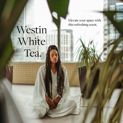Westin White Tea Home Diffuser - Scent Machine with Refill Cartridge - Air fresheners for Home - Signature White Tea Scent - Image 4