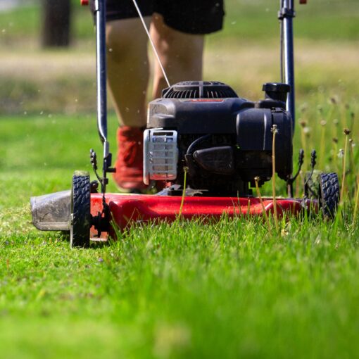 Yard Machines Gas Powered Push Lawn Mower with Engine Oil, 20 Inch Steel Cutting Deck, and Side Discharge for Outdoor Yards, Red/Black - Image 8