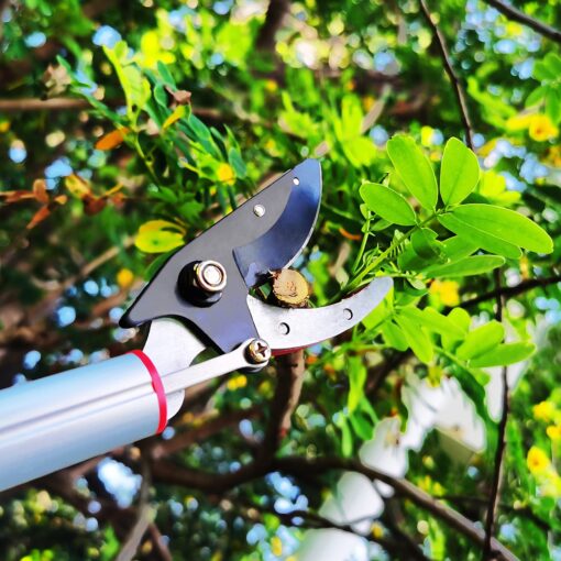 Prunrt 5.4-14.8 FT Tree Pruner Extendable 4 Sections, Telescopic Cut and Hold Trimmers Pole Saws Trimming Long Reach Pruning Shears Branch Cutter Clipper Bypass Lopper Fruit Picker - Image 4