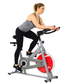 Sunny Health & Fitness Spin Bike Indoor Cycling Exercise Spinning Bike, silver (SF-B1001S)