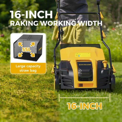 2025 Upgraded EVEAGE 16-Inch 15 Amp Electric Dethatcher & Scarifier, 5-Position Depth Adjustment, 14.5gal Collection Bag, Increases Lawn Health, EDS16S - Image 4