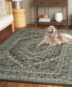 SAFAVIEH Adirondack Collection Area Rug - 9' x 12', Dark Green & Ivory, Transitional Design, Stain Resistant, Ideal for High Traffic Areas in Living Room, Bedroom & Dining Room (ADR108Y-9)