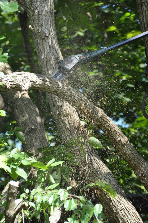 Hooyman Cordless 40 Volt Pole Saw with In-Line 8in Saw, Auto-Oiler, 40V Battery with Charge Indicator, Ergonomic Grip, and Carry Case for Cutting, Tree Trimming, Hunting, Camping, and Outdoors - Image 2