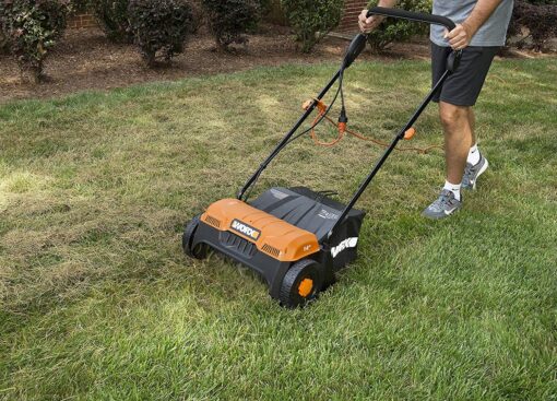 Worx (2) PC Lawn Kit - Image 2