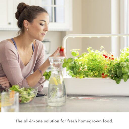 Click & Grow Indoor Herb Garden Kit with Grow Light | Easier Than Hydroponics Growing System | Smart Garden for Home Kitchen Windowsill | Vegetable & Herb Garden Starter Kit with 9 Plant pods, Gray - Image 5