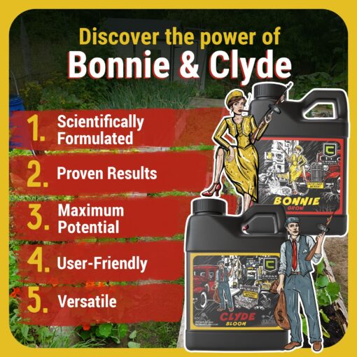 Cronk Nutrients Bonnie & Clyde Autoflower Nutrients Bloom and Grow – Yield Increasing Autoflower Plants Nutrient Kit – Easy to Use Plant Food – Optimal Formula for Optimal Results, 4L - Image 8