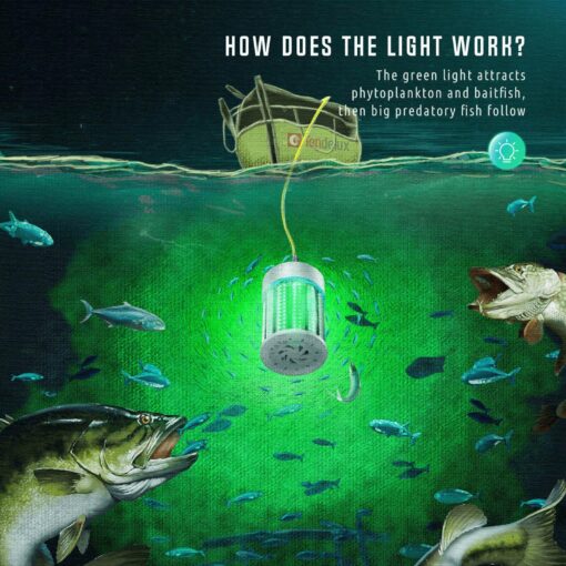 Tendelux Ultra-Bright Underwater Fishing Light with Controller, 110V & 12V Green LED Submersible Light Attractants for Docks, Boats or Kayaks, IP68 Rated for Fresh & Salt Water (30ft Cable) - Image 4