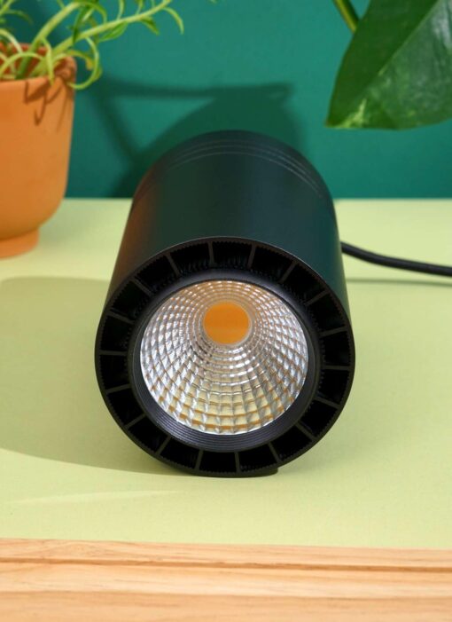 Aspect World's First Decor Grow Light - Black Luxury LED Grow Light For Medium and Large Plants - Image 4