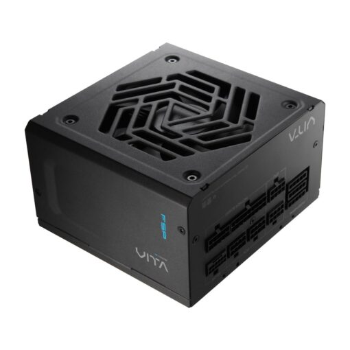 FSP VITA GM 850W Power Supply, 80 Plus Gold, ATX 3.1/PCIe 5.1, Full Modular (VITA-850GM)