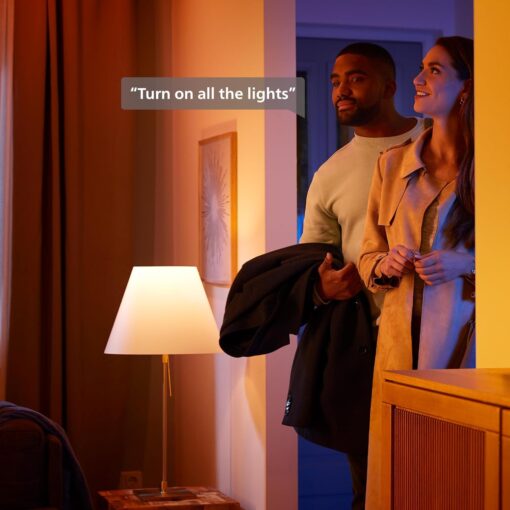 Philips Hue Indoor/Outdoor Holiday 130-Foot Festavia String Lights - 500 Mini Color Changing Smart LEDs - Weatherproof - Control with Hue App - Works with Alexa, Google Assistant and Apple HomeKit - Image 3