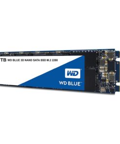 Western Digital 1TB WD Blue 3D NAND Internal PC SSD - SATA III 6 Gb/s, M.2 2280, Up to 560 MB/s - WDS100T2B0B