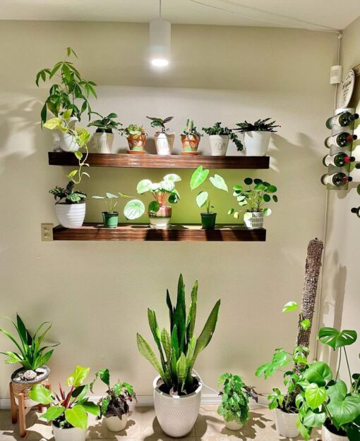 Aspect World's First Decor Grow Light - Large White Luxury LED Grow Light – for Medium and Large Plants - Image 3