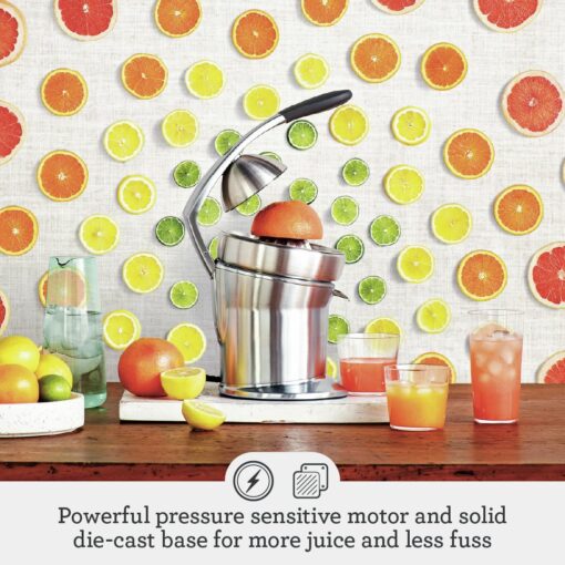Breville 800CPXL Citrus Press Pro Juicer Machine, Brushed Stainless Steel - Image 6