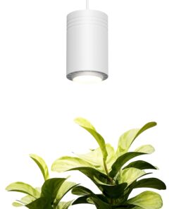 Aspect World's First Decor Grow Light - Large White Luxury LED Grow Light – for Medium and Large Plants
