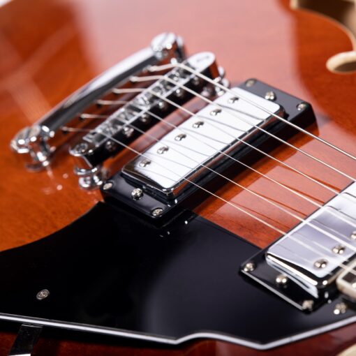 Redid Semi-Hollow Body Electric Guitar RD-100 Jazz Guitar with F-Hole,Maple neck,humbucker Pickups(Brown) - Image 5