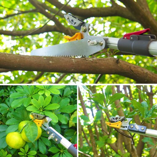 Mesoga 5.6-13 Foot Extendable Tree Pruner, Cut and Hold Pruning Trimmer, Long Reach Pole Saw, Telescoping Fruit Picker, Branches Bypass Lopper - Image 5