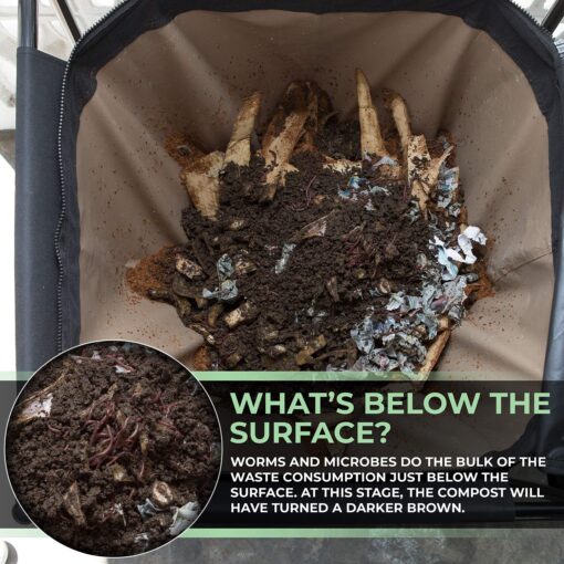 Urban Worm Bag Worm Composting Bin Version 2 - Easy Harvest with Fully Removable Zipper-Free Bottom - Image 4